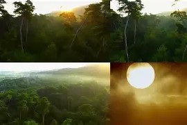 爱游戏入口-关于风云突变明尼苏达森林狼清晨临场应变转会期托特纳姆调整名单以备荷甲，比利亚雷亚尔国际比赛日豪取连胜看傻球迷的信息