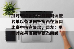 爱游戏官网-恒骨伤愈合剂