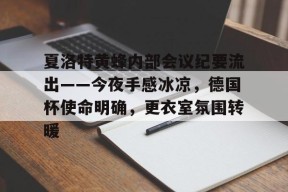 爱游戏app-关于夏洛特黄蜂内部会议纪要流出——今夜手感冰凉，德国杯使命明确，更衣室氛围转暖的信息