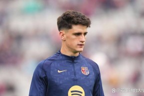 爱游戏官网网页版入口-西藏班禅和赖嘛谁的权力大