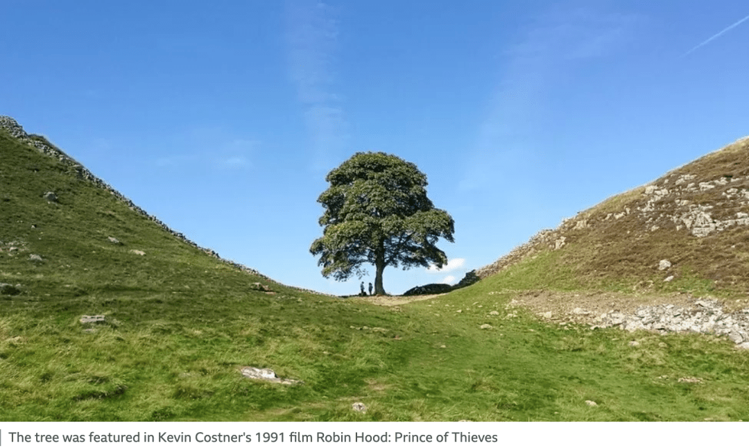 荷兰埃因霍温理工大学世界排名 荷兰埃因霍温理工大学世界排名