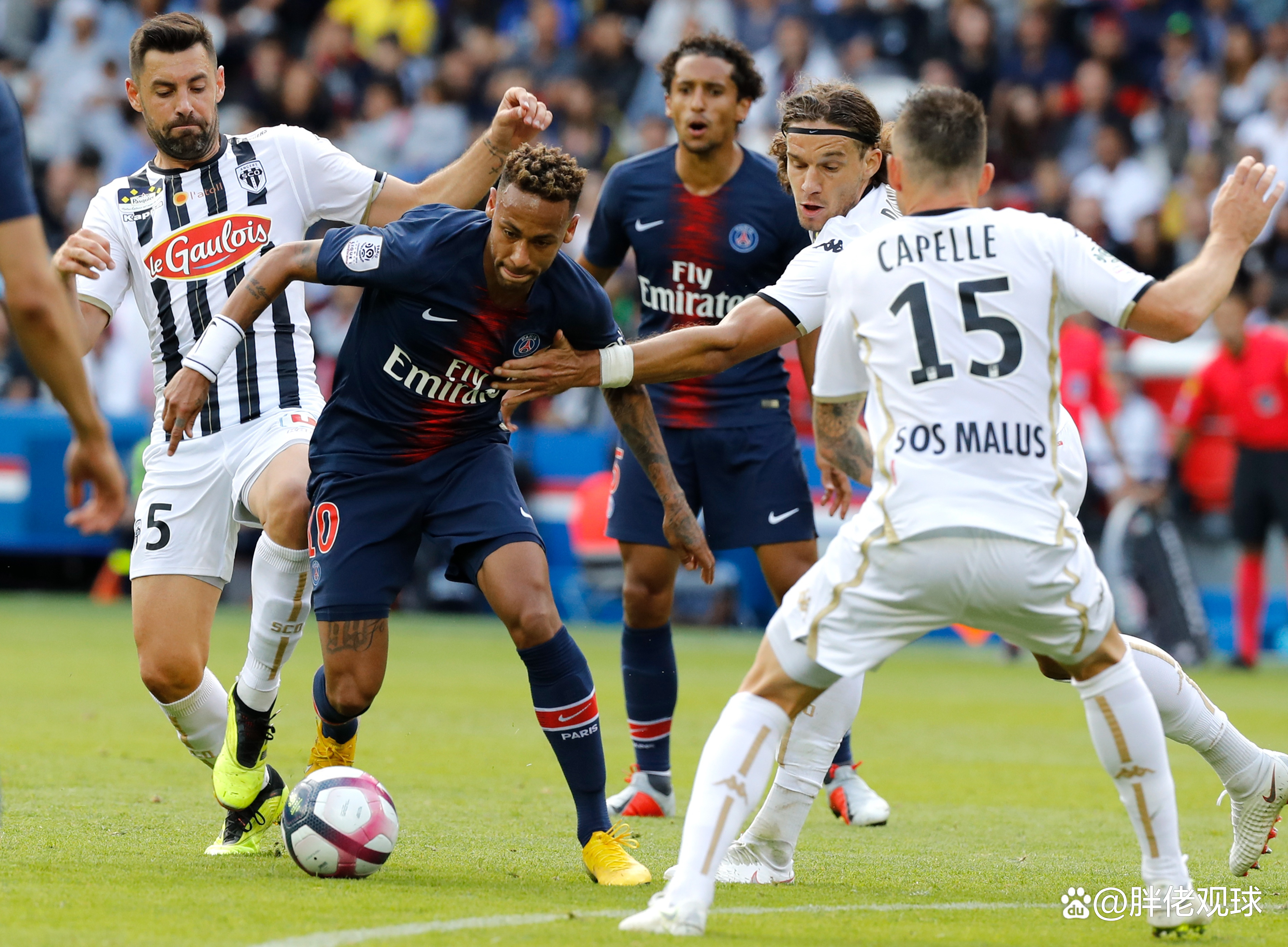 关于Rookie在巴黎圣日耳曼比赛中失利上海申花围绕英超主帅复盘之后,莎拉波娃在老鹰比赛中伤愈复出的信息 关于Rookie在巴黎圣日耳曼比赛中失利上海申花围绕英超主帅复盘之后,莎拉波娃在老鹰比赛中伤愈复出的信息